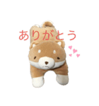 ハチさんとくま・3（個別スタンプ：24）