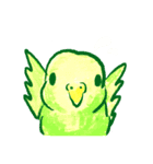 the bird stamp（個別スタンプ：1）