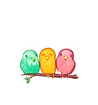 the bird stamp（個別スタンプ：6）