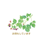 植物とともに過ごす幸せ…（個別スタンプ：6）