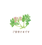 植物とともに過ごす幸せ…（個別スタンプ：7）