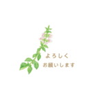 植物とともに過ごす幸せ…（個別スタンプ：8）