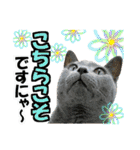 ゆかいなにゃんこ8★猫のゆるい敬語★（個別スタンプ：9）