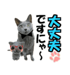 ゆかいなにゃんこ8★猫のゆるい敬語★（個別スタンプ：23）