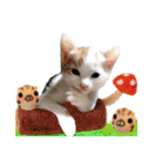 ゆかいなにゃんこ8★猫のゆるい敬語★（個別スタンプ：24）