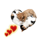 ゆかいなにゃんこ8★猫のゆるい敬語★（個別スタンプ：30）