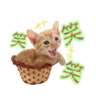 ゆかいなにゃんこ8★猫のゆるい敬語★（個別スタンプ：32）