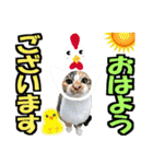 ゆかいなにゃんこ8★猫のゆるい敬語★（個別スタンプ：39）