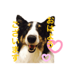 ハリーくんの日常（個別スタンプ：3）