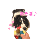 ハリーくんの日常（個別スタンプ：6）