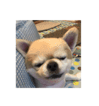 まろまろまろまろまーーーーーーーーーろろ（個別スタンプ：14）
