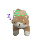 ハチさんとくま・2（個別スタンプ：5）