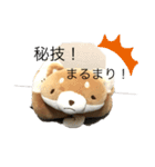 ハチさんとくま・2（個別スタンプ：8）