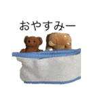 ハチさんとくま・2（個別スタンプ：12）