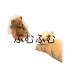 ハチさんとくま・2（個別スタンプ：13）