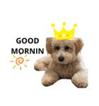 ムウ大福きなこstamp（個別スタンプ：3）