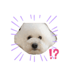 ムウ大福きなこstamp（個別スタンプ：8）