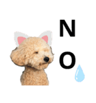 ムウ大福きなこstamp（個別スタンプ：9）