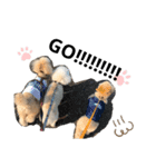 ムウ大福きなこstamp（個別スタンプ：11）