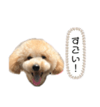 ムウ大福きなこstamp（個別スタンプ：13）