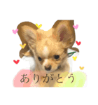 佐藤ぷう汰（個別スタンプ：2）