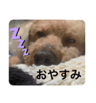 ウチの子エイト（個別スタンプ：2）