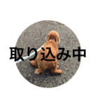 ウチの子エイト（個別スタンプ：14）