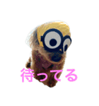 ウチの子エイト（個別スタンプ：15）