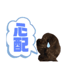 トイプードルの親子シュラロスタンプ（個別スタンプ：7）