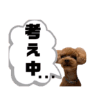 トイプードルの親子シュラロスタンプ（個別スタンプ：9）