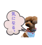 トイプードルの親子シュラロスタンプ（個別スタンプ：22）