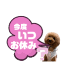 トイプードルの親子シュラロスタンプ（個別スタンプ：29）