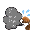 トイプードルの親子シュラロスタンプ（個別スタンプ：33）