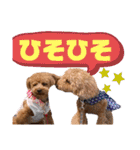 トイプードルの親子シュラロスタンプ（個別スタンプ：39）