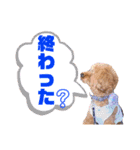 トイプードルの親子シュラロスタンプ（個別スタンプ：40）