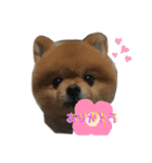 コロンちゃんだよ♡（個別スタンプ：5）