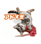 かつてYPと呼ばれた猫のスタンプLv1（個別スタンプ：17）