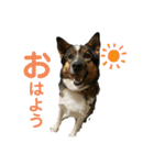 もくもくのスタンプ（個別スタンプ：1）