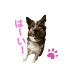 もくもくのスタンプ（個別スタンプ：13）