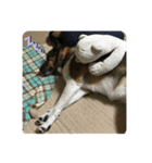もくもくのスタンプ（個別スタンプ：19）