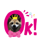たろすスタンプ（個別スタンプ：9）