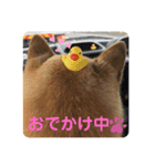 たろすスタンプ（個別スタンプ：14）