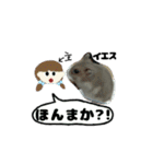 ハムスターのチップと大福スタンプ（個別スタンプ：25）