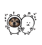 アリスだいすきスタンプ（個別スタンプ：4）