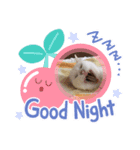 ミーコかわいい（個別スタンプ：2）