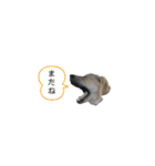 いたずらマーリー❷（ラブラドール）（個別スタンプ：2）