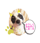 パピカイスタンプ（個別スタンプ：2）
