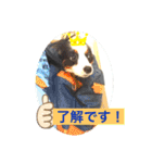 パピカイスタンプ（個別スタンプ：5）