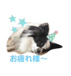 パピカイスタンプ（個別スタンプ：7）