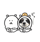 パピカイスタンプ（個別スタンプ：13）